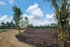 Đất vườn glamping xuân tây cẩm mỹ 1000m2 sổ hồng riêng biệt