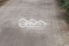 Bán 13.980m² đất lúa xã phú tâm, huyện châu thành, tỉnh sóc trăng