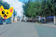 Cần bán gấp nhà chính chủ, đường lạc long quân p1q11, 120m2 giá chỉ 11.3 tỷ. diện tích ngang 5.2