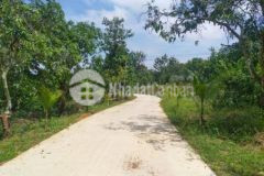 Đất vườn quy hoạch liền kề khu dân cư