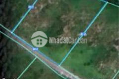 Bán đất gần cao tốc long thành
