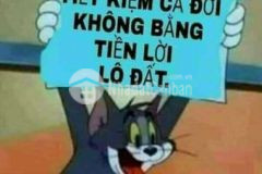 Cần bán đất long an 525 shr