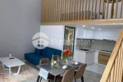 Bán căn hộ duplex tiện ích ecohome q3