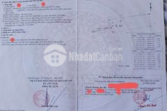 Siêu phẩm đất trung tâm cần giờ