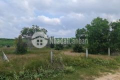 Bán 1 xào rừng vàng tân bình lagi giá 3 1 tỷ