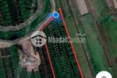 Bán nhanh đất vườn an khánh đường nhựa lớn