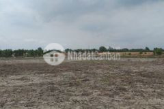 Đất 2 mặt tiền nhơn trạch đường xe hơi qua quận 7