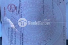 Cần bán gấp đất thổ cư vườn