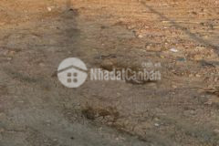 Cô út cần bán lô đất ubnd bình tân 53 6m2 2ty560