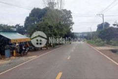 Chú em gửi bán vài sào đất gần kcn xãtân lợi