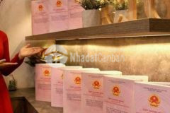 Có ngay 1 chỉ vàng sjc đất odt nam phước ubnd tp