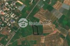 Đất đẹp khu dân cư tương lai giá mềm