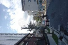 Tin trông ngày trung tâm sơn trà an hải đông