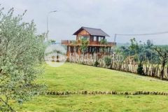 Nhà gỗ cho thuê 8 12tr tháng