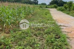 Giá siêu rẻ chỉ từ 300trlô sở hữu lô đất sổ đỏ