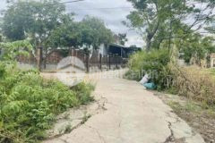 87m thuỷ lương hương thuỷ xịn xò