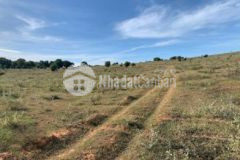 Bán 3 sào 8 đất cln cách biển 2km