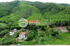 11ha8 rsx quy hoạch cây lâu năm keo 5 năm đg thông