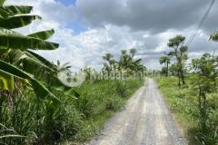 2 2 công đất thổ vườn mặt tiền kênh gò công đông