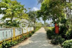 Bán 100 m2 đất điện tiến 350 triệu