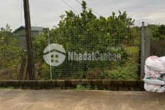 Bán đất đấu giá một thượng thắng lợi giá 2xtr