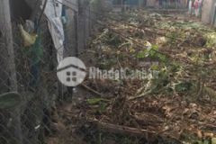 Ket tiên ban 2 mặt tiên