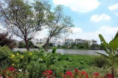 Bán 2 lô đất mặt tiền sông vàm thuật 4m x 45m