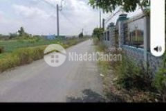 Bán nhanh 151m2 thổ 670mv lúa