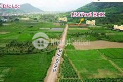 Đất 1371m2 bhk đường 16m khu dù lượn hồ đắc lộc