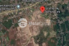 Hòa phú gần trạm kiểm dịch đầy tiềm năng