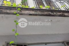 18m2 đường huỳnh văn nghệ p12 gò vấp