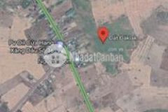 Cần tiền ra nhanh 20 hecta đất cao su