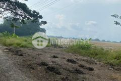 Bán đất 40.000m² ấp vĩnh quới, xã vĩnh tường, huyện vị thủy, tỉnh hậu giang