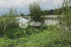 Bán 20 công đất thuộc xã mỹ phước, huyện mỹ tú sóc trăng, ngang 50m, lộ dal 2m