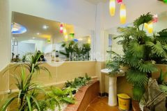 Khu vip p3 gv giá mền trong tầm giá 44m2 nở hậu nhẹ giá chỉ nhỉnh 3 tỷ