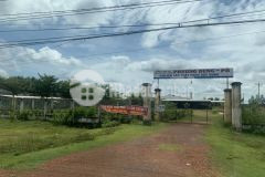 Cần tiền kinh doanh nên bán miếng đất để dành