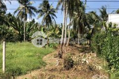 Bán nền mặt tiền ql60 thuộc xã hậu thạnh, huyện long phú, sóc trăng. cách xã hậu thạnh 1km