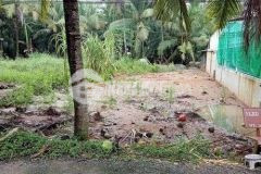 Bán nền giá rẻ thuộc ấp hòa hưng, xã long đức, huyện long phú, sóc trăng.