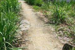 Bán nền giá rẻ thuộc xã nhơn mỹ, kế sách, sóc trăng