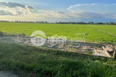 Bán 6 công đất mặt tiền lộ đal thuộc xã long phú, huyện long phú, sóc trăng.