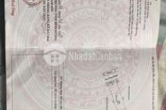 Cần bán gấp biệt thự giảm 1 tỷ chốt ngay