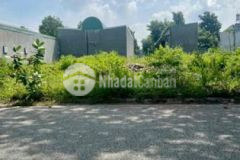 Bán đất tdc phú chánh đường 71 đường nhua 8m thông