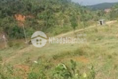 Cc cần bán lô đất trang trai huyện đông giang