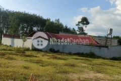 Đất bán tân an hội giá 2 2tỷ 343m2