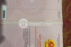 Bán nhà chính chủ mặt đường kim ngưu