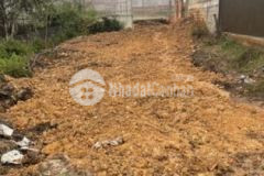Bán gấp lô đất đẹp 233m2 nam hồ 8 6 tỷ p11 đà lạt