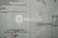 Đất đường bê tông tại xã phú lợi