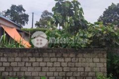 Lô đất huyện luơng sơn tài chính nhỏ 266m 160 ont