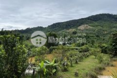 Ra đất vườn 6 héc trồng tiêu có view núi đẹp