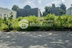 Chủ cần bán gấp đất nền tđc phú chánh